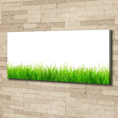 Tableau photo sur toile L'herbe