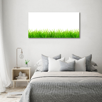 Tableau photo sur toile L'herbe