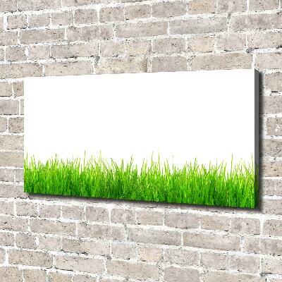 Tableau photo sur toile L'herbe