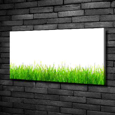 Tableau photo sur toile L'herbe