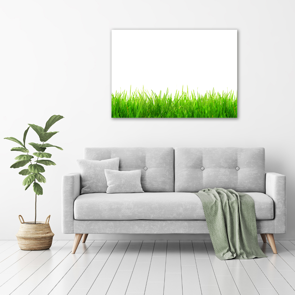 Tableau photo sur toile L'herbe