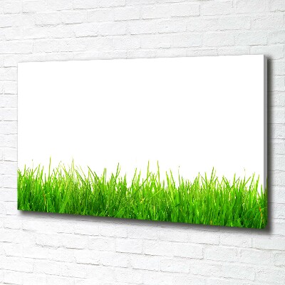 Tableau photo sur toile L'herbe