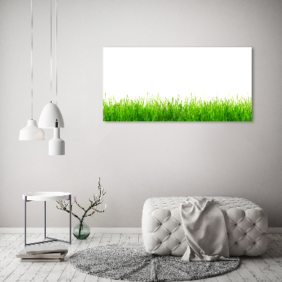 Tableau photo sur toile L'herbe