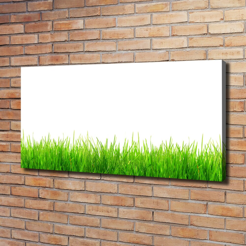 Tableau photo sur toile L'herbe