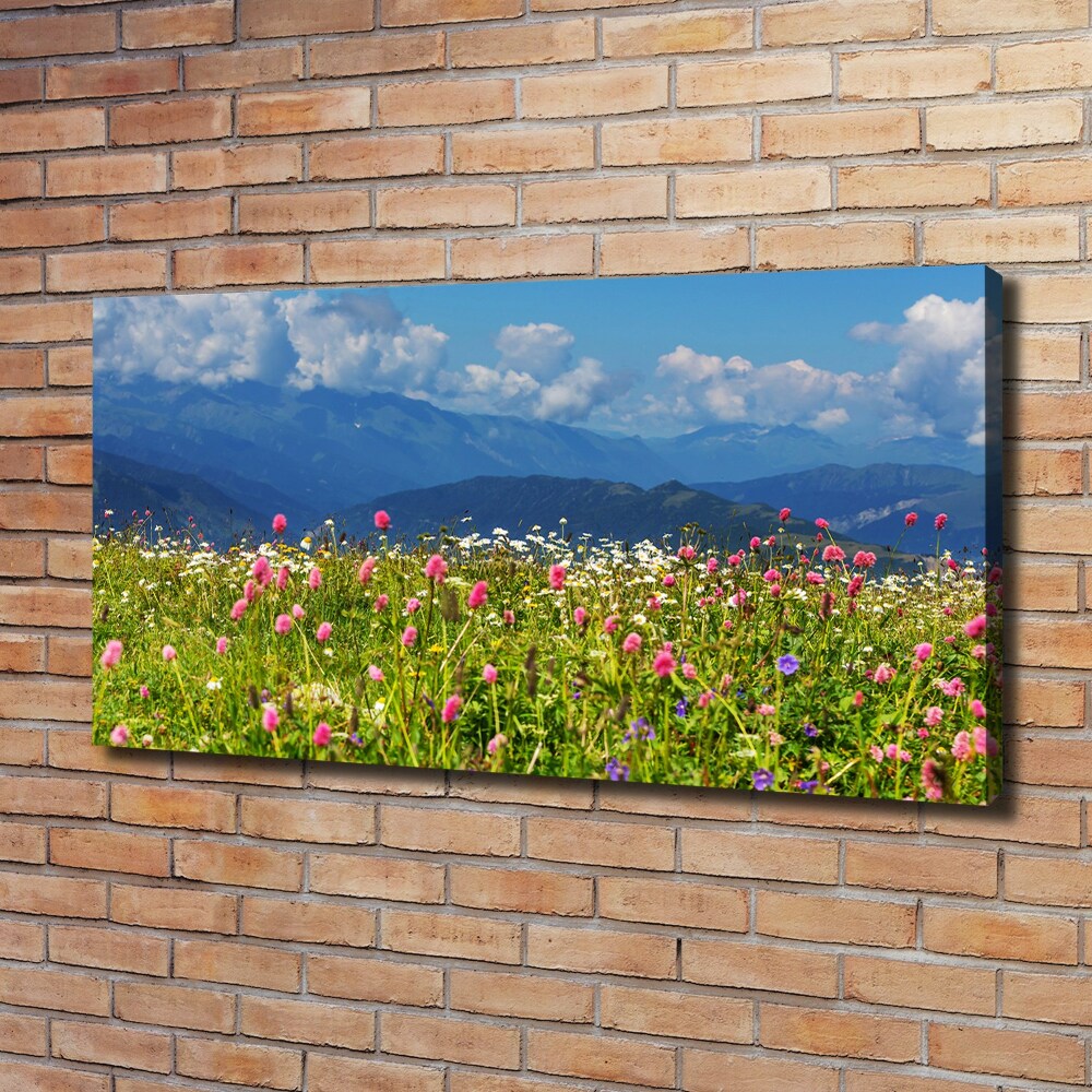 Tableau toile imprimée Prairie dans les montagnes