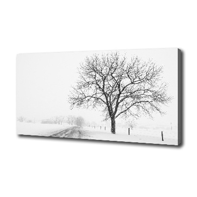 Tableau imprimé sur toile Arbre en hiver