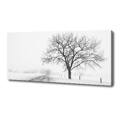 Tableau imprimé sur toile Arbre en hiver