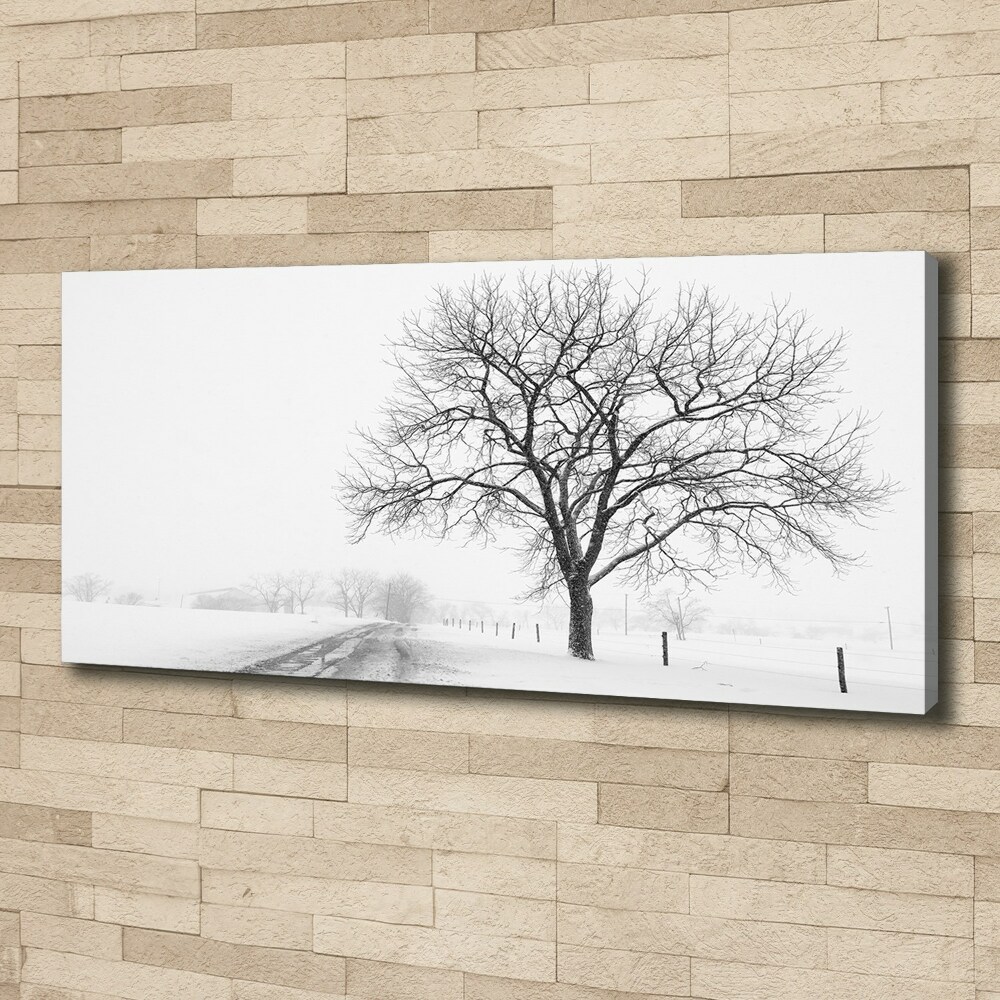 Tableau imprimé sur toile Arbre en hiver