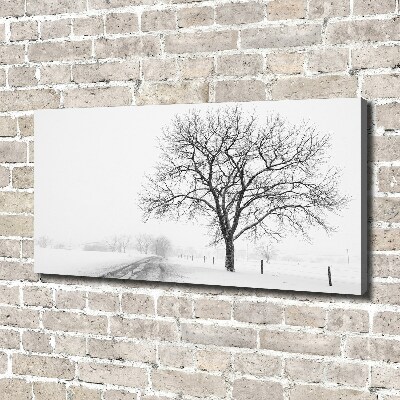 Tableau imprimé sur toile Arbre en hiver