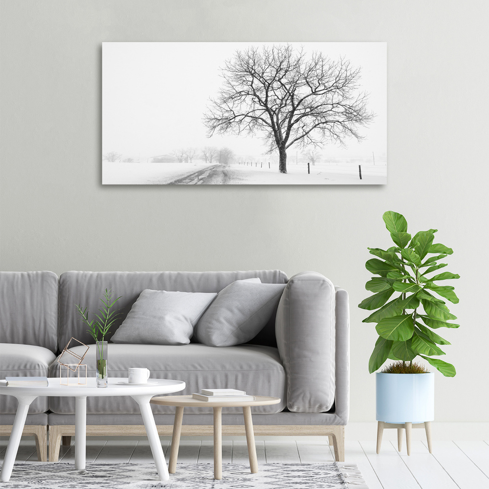 Tableau imprimé sur toile Arbre en hiver