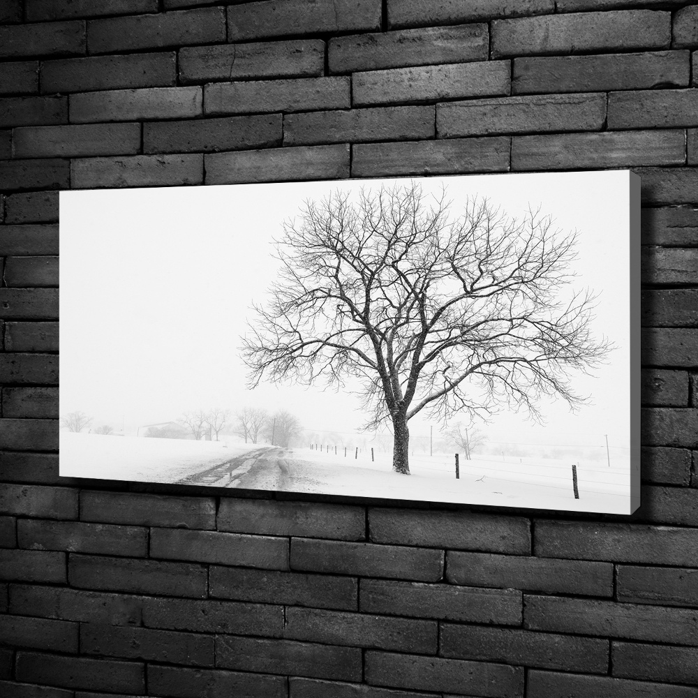 Tableau imprimé sur toile Arbre en hiver