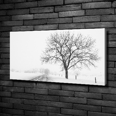 Tableau imprimé sur toile Arbre en hiver