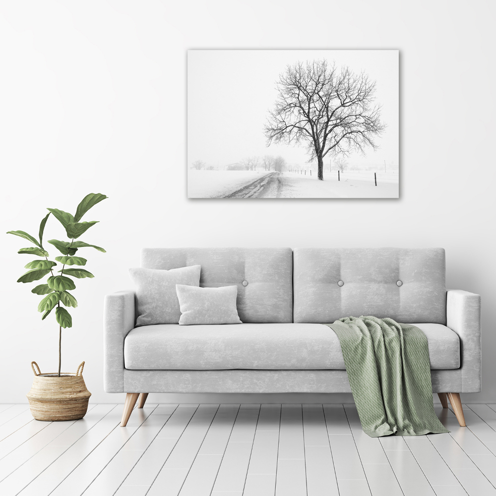 Tableau imprimé sur toile Arbre en hiver