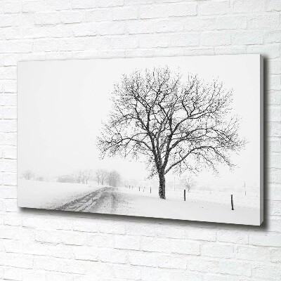 Tableau imprimé sur toile Arbre en hiver