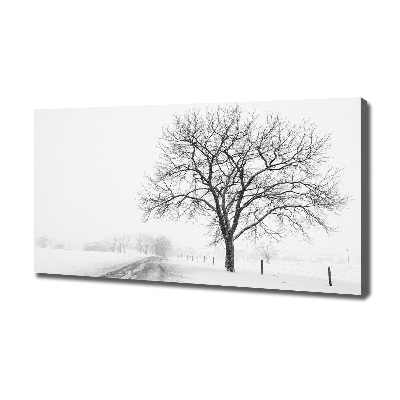 Tableau imprimé sur toile Arbre en hiver