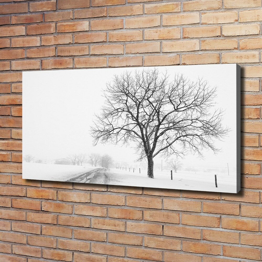 Tableau imprimé sur toile Arbre en hiver