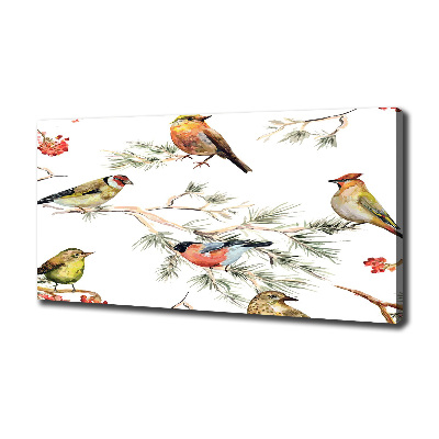 Tableau photo sur toile Plante forestière oiseaux