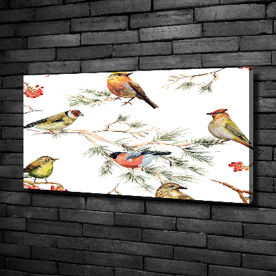 Tableau photo sur toile Plante forestière oiseaux