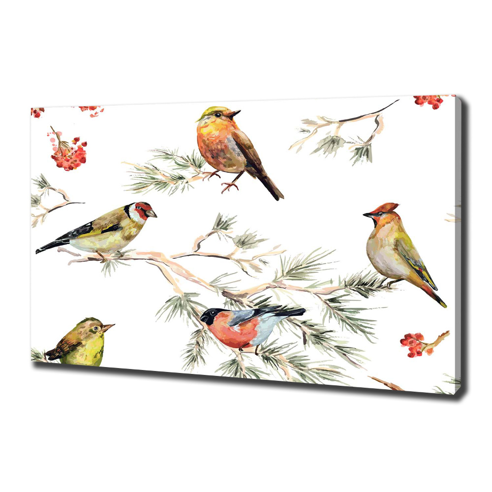 Tableau photo sur toile Plante forestière oiseaux