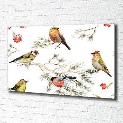 Tableau photo sur toile Plante forestière oiseaux