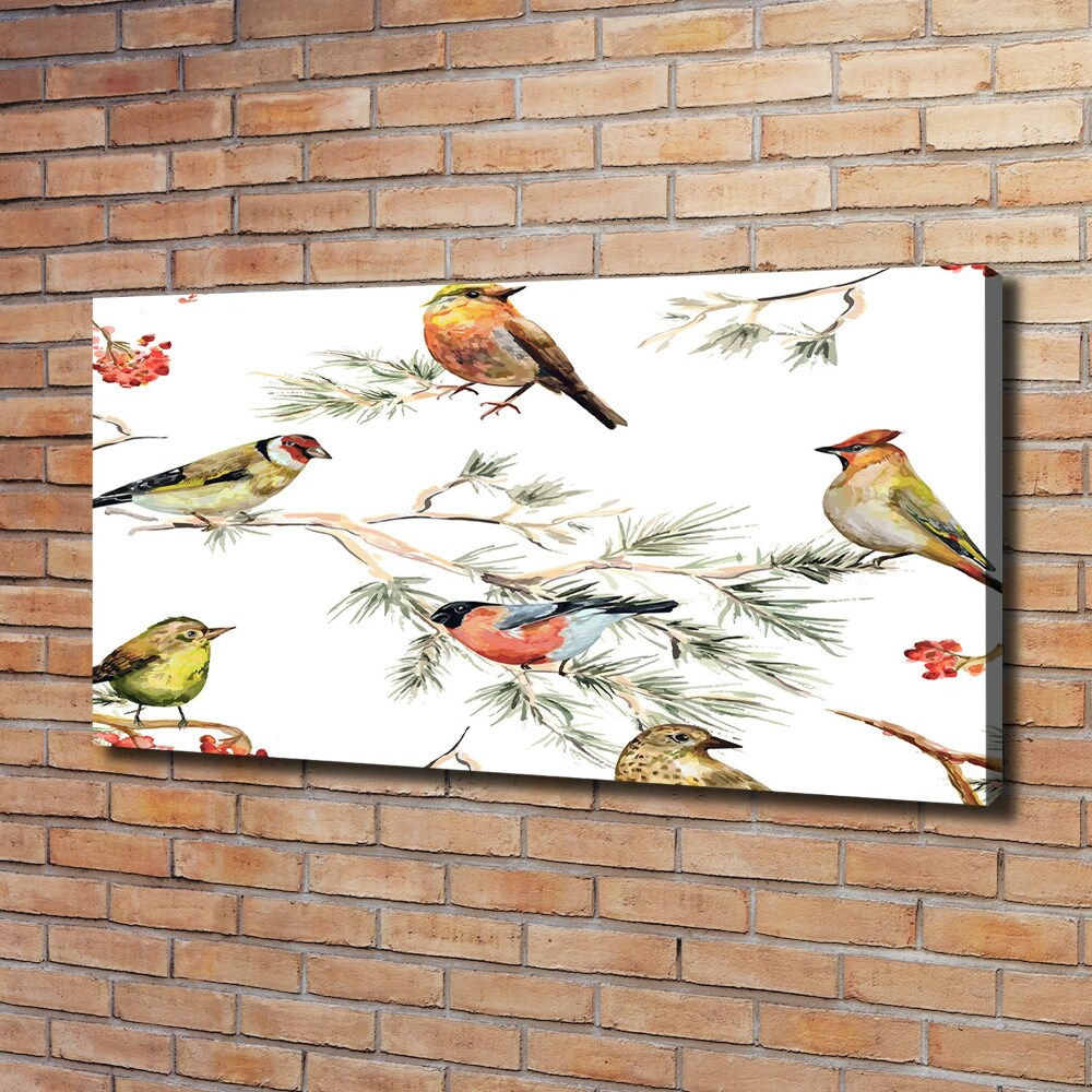 Tableau photo sur toile Plante forestière oiseaux