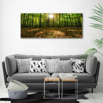 Tableau photo sur toile Las