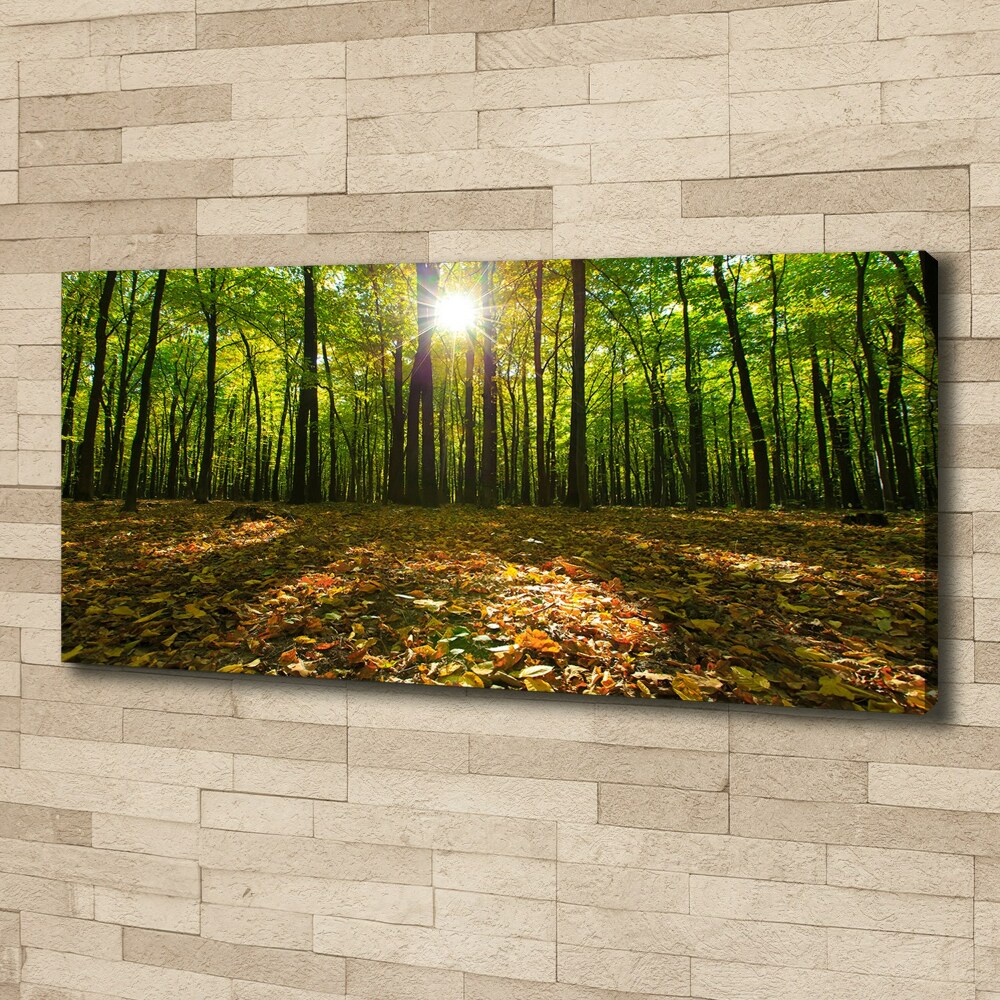 Tableau photo sur toile Las