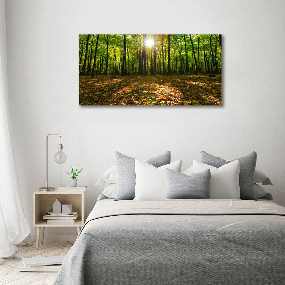 Tableau photo sur toile Las