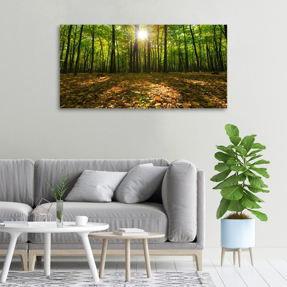 Tableau photo sur toile Las