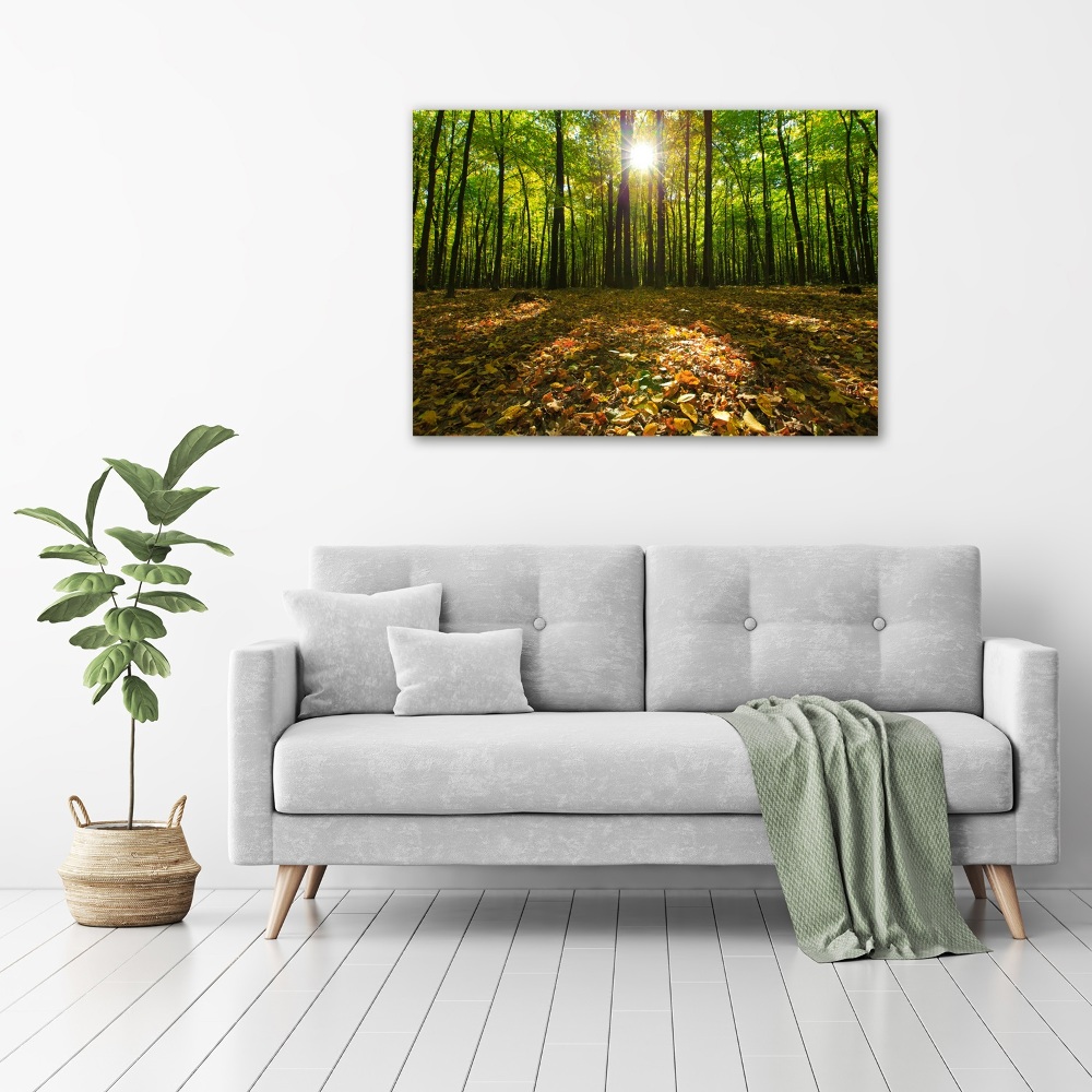 Tableau photo sur toile Las