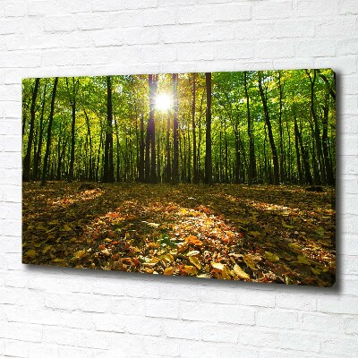 Tableau photo sur toile Las