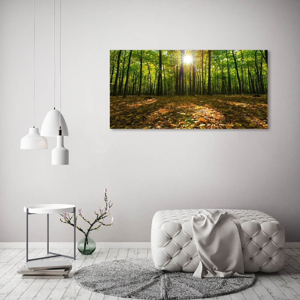 Tableau photo sur toile Las