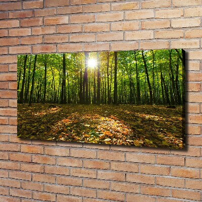 Tableau photo sur toile Las