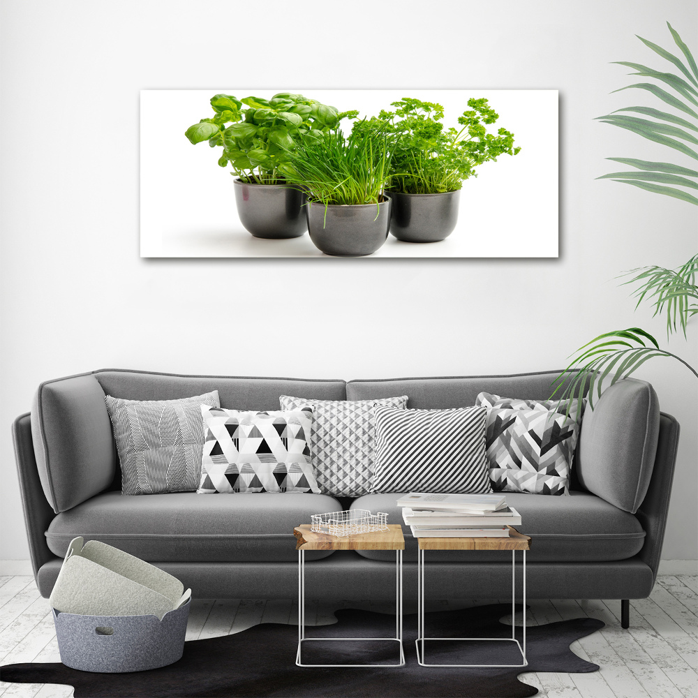 Tableau mural sur toile Herbes en pots