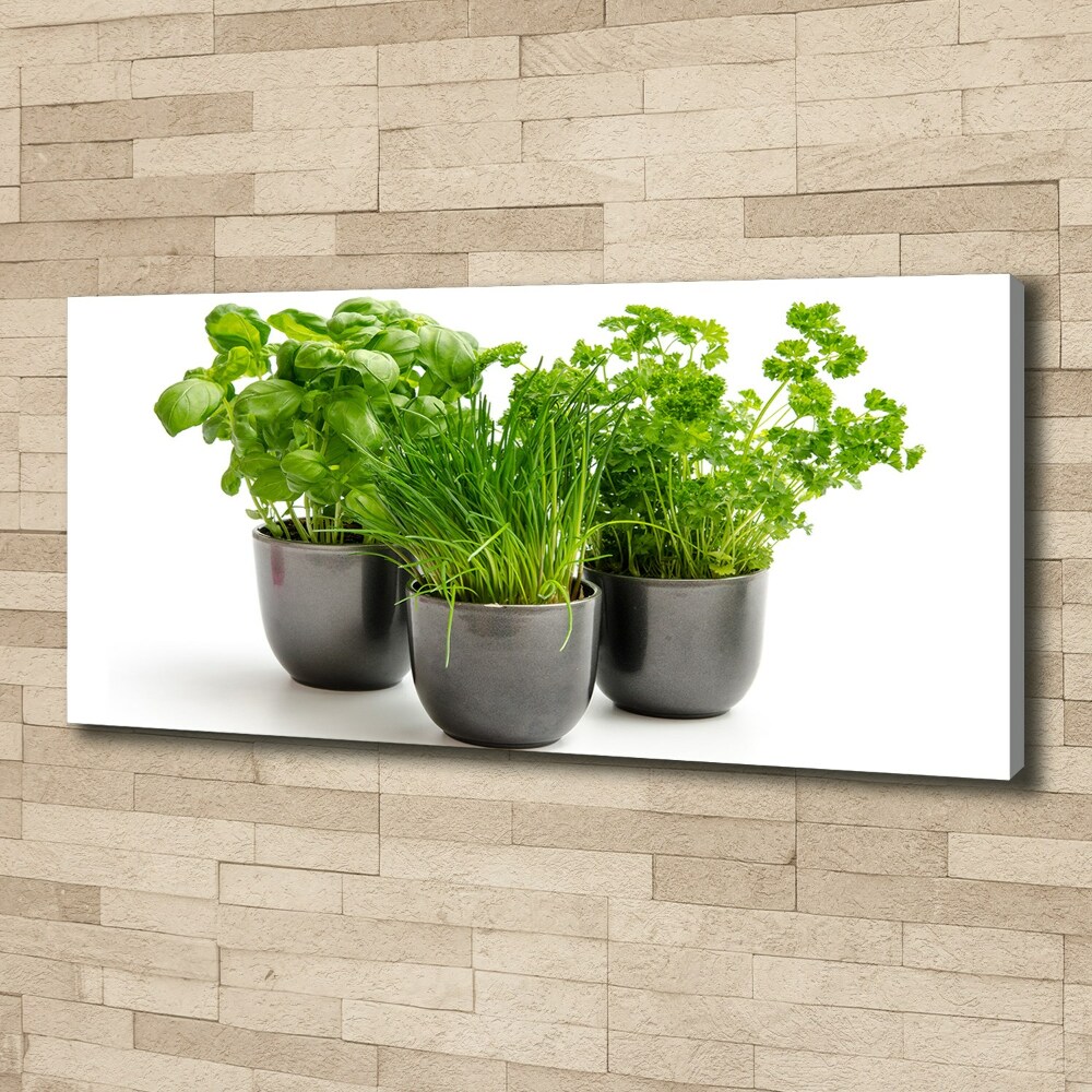 Tableau mural sur toile Herbes en pots