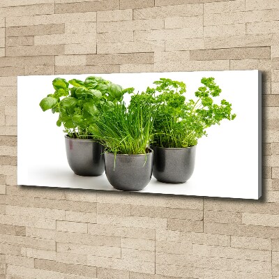 Tableau mural sur toile Herbes en pots