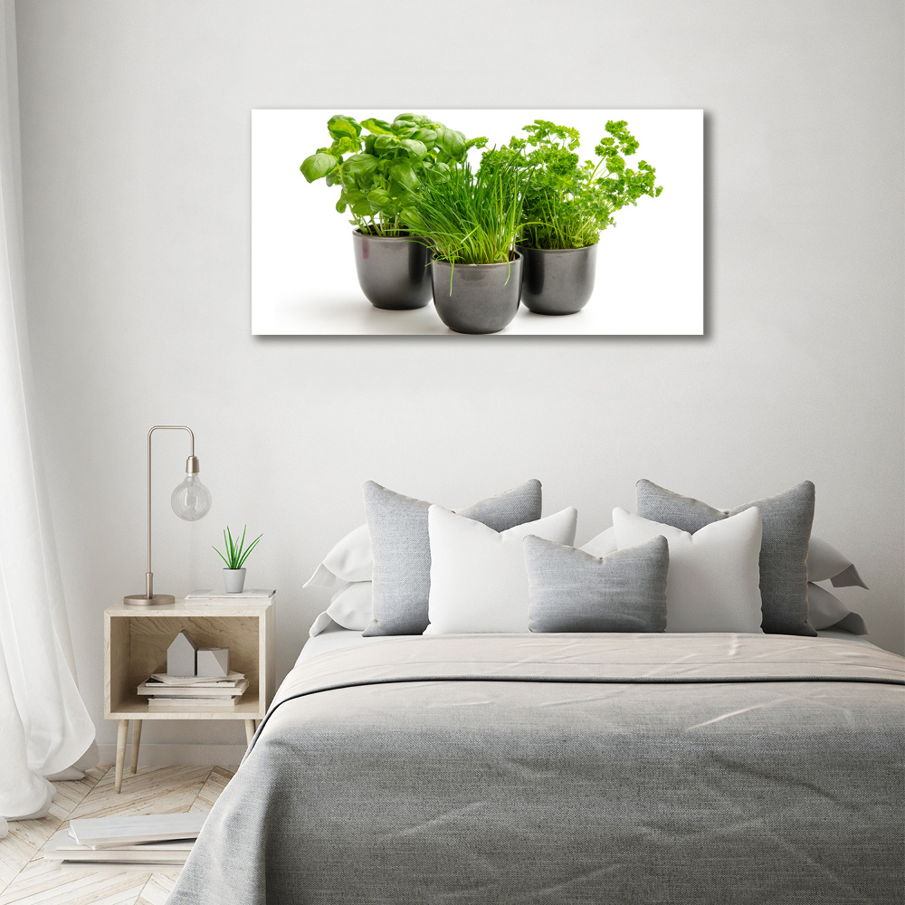 Tableau mural sur toile Herbes en pots