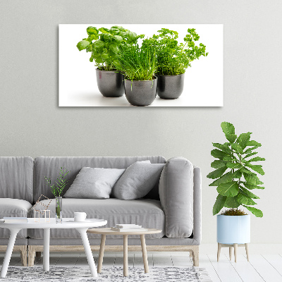 Tableau mural sur toile Herbes en pots