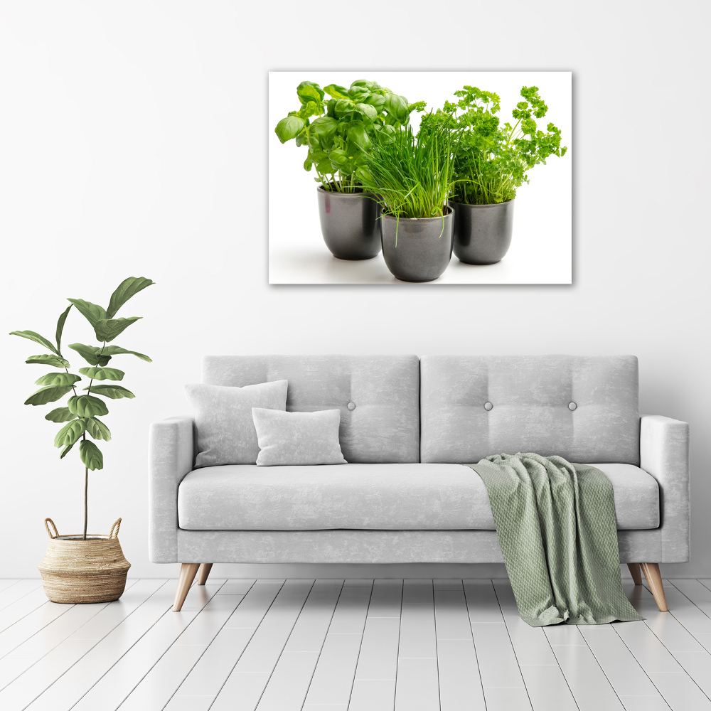 Tableau mural sur toile Herbes en pots