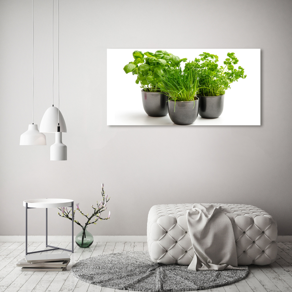 Tableau mural sur toile Herbes en pots