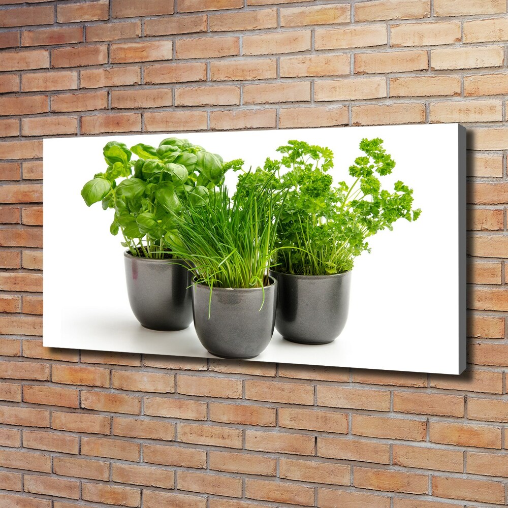 Tableau mural sur toile Herbes en pots