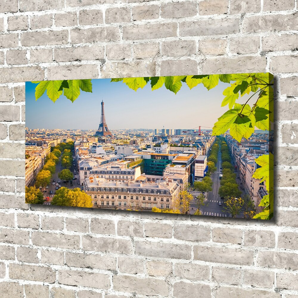 Tableau sur toile Paris