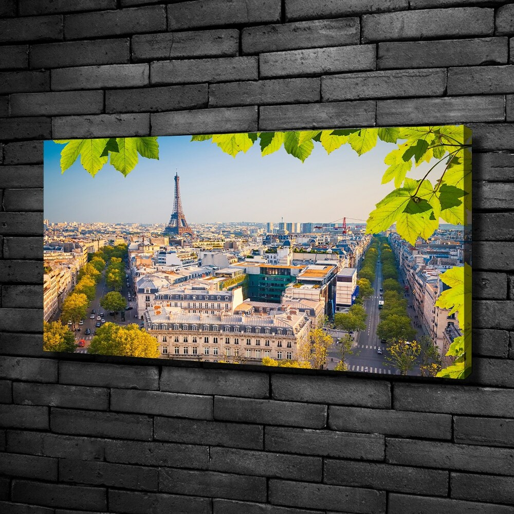 Tableau sur toile Paris