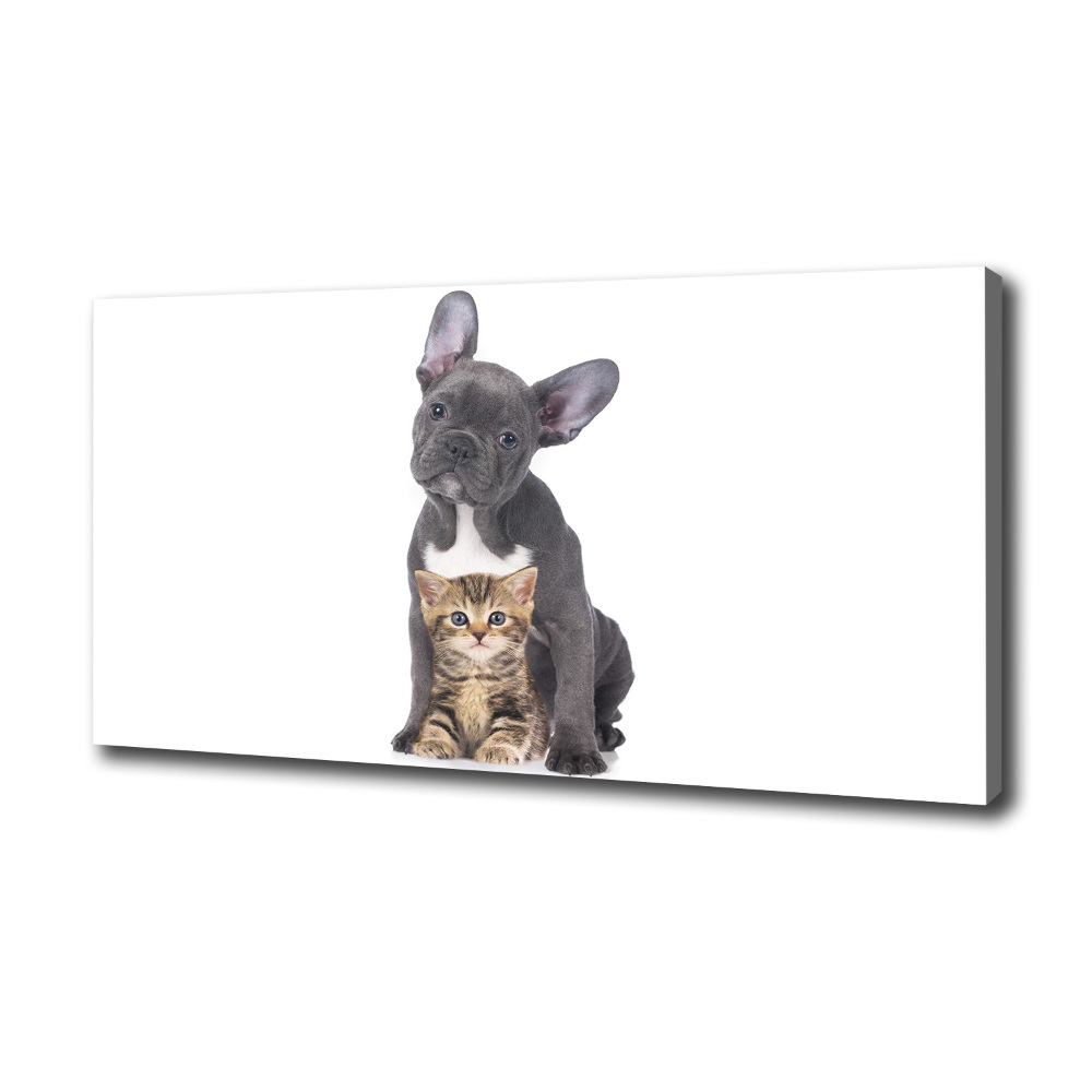 Tableau photo sur toile Chien et chat