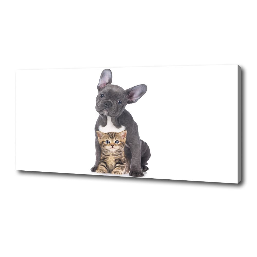 Tableau photo sur toile Chien et chat