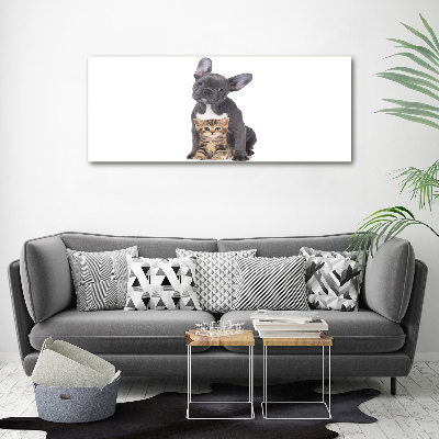 Tableau photo sur toile Chien et chat