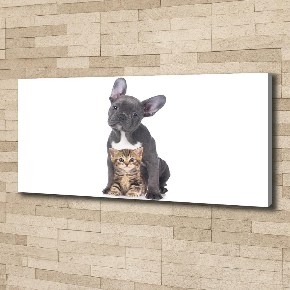 Tableau photo sur toile Chien et chat