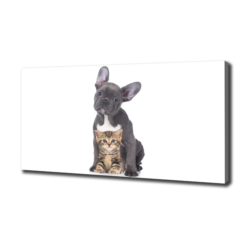 Tableau photo sur toile Chien et chat