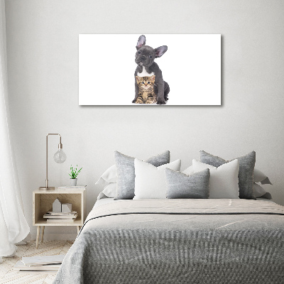 Tableau photo sur toile Chien et chat