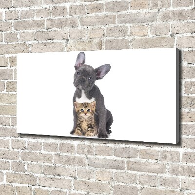 Tableau photo sur toile Chien et chat